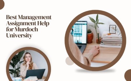 Best Management Assignment Help for Murdoch University