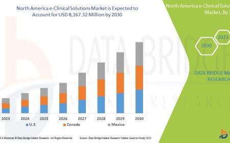 North America E-Clinical Solutions Market Size, Share, Trends, Key Drivers, Growth Opportunities and Competitive Outlook