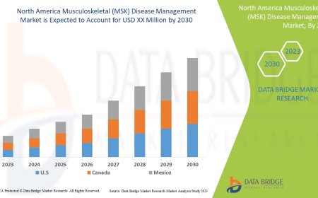 North America Musculoskeletal (MSK) Disease Management Market Size, Share, Trends, Demand, Growth and Competitive Analysis