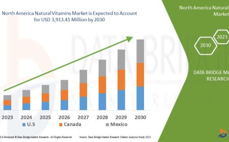 North America Natural Vitamins Market Size, Share, Demand, Rising Trends, Growth and Competitors Analysis