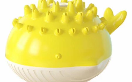 The Well-Dressed Pet – Apparel with Purpose