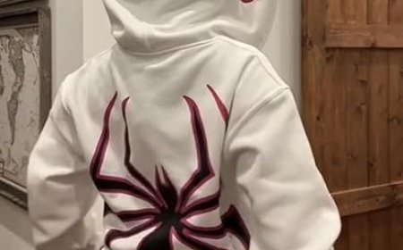Why You Should Invest in an Spider Hoodie