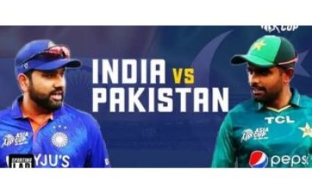 IndiaMatch: Your Cricket Partner