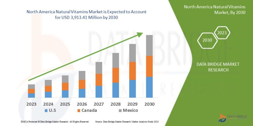 North America Natural Vitamins Market Size, Share, Demand, Rising Trends, Growth and Competitors Analysis