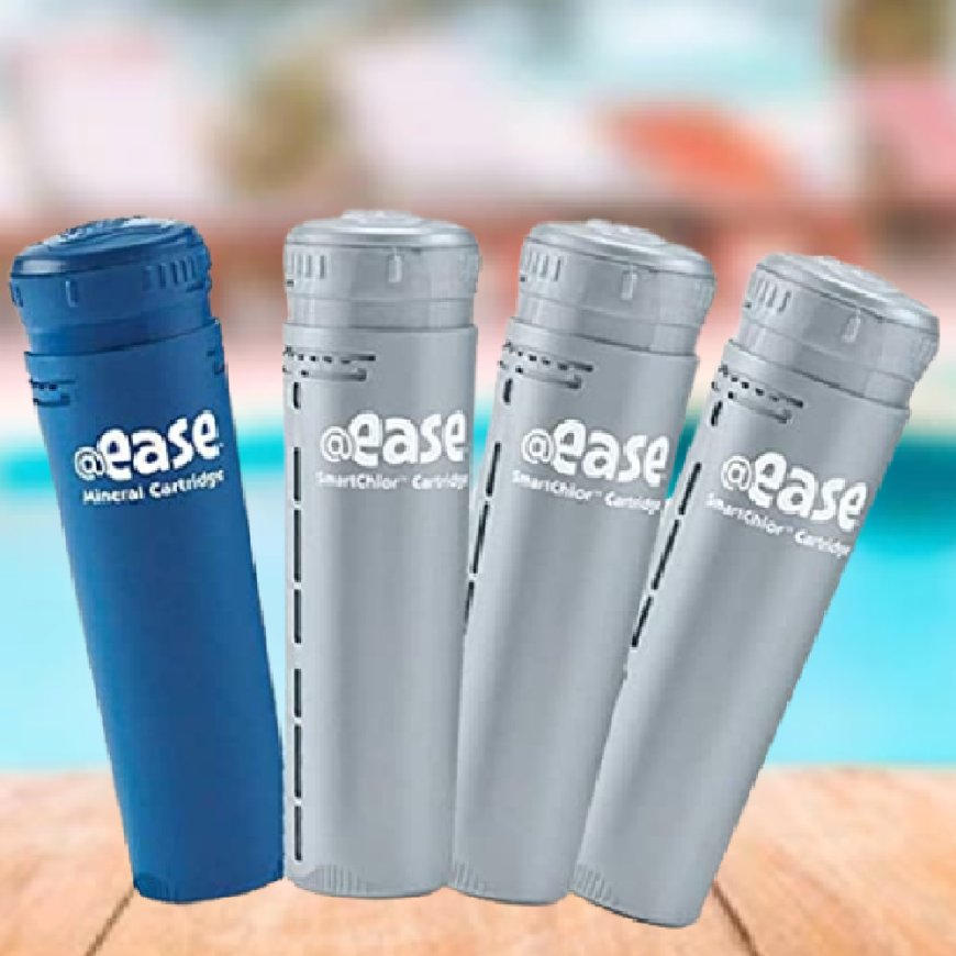 Frog Ease Inline Cartridge for Sale – Clean, Clear Water with Less Hassle!