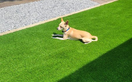 What is the Safest Lawn Care Service for Pets?
