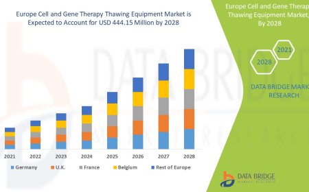 Cell and Gene Therapy Innovation Spurs Thawing Equipment Market Growth in Europe