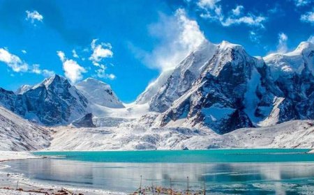 Explore the Himalayas with the Best Zuluk Tour Package 2025