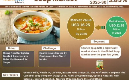 Soup Market to Witness 3.85% CAGR Growth Amid Rising Demand and Innovation