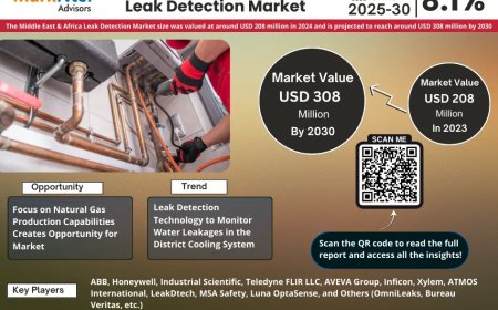 Middle East & Africa Leak Detection Market Growth: Top Brands, Trends & Forecast