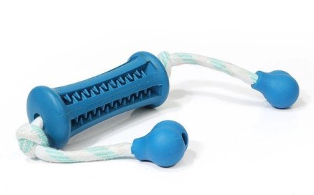 Discover the Best Chewing Toy for Dog – Unleash the Madness!