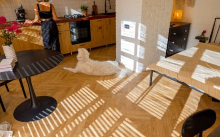 Pet-Friendly Flooring and Surface Options for Custom Homes