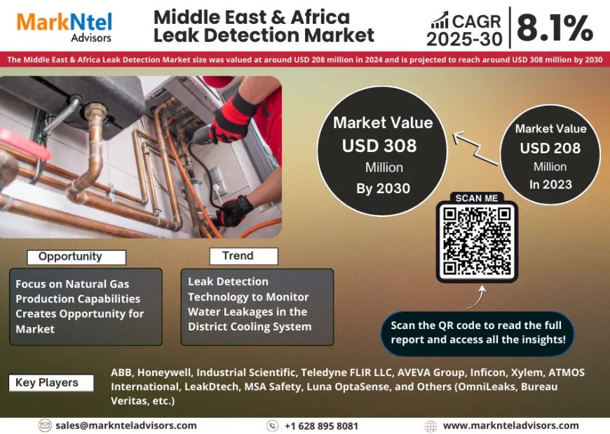 Middle East & Africa Leak Detection Market Growth: Top Brands, Trends & Forecast