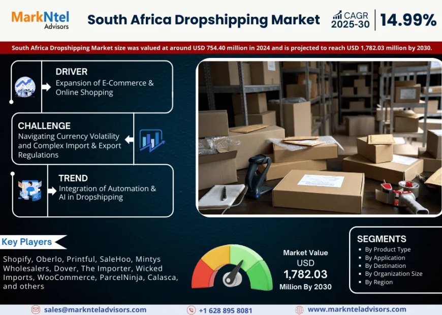 South Africa Dropshipping Market Growth: Top Brands, Trends & Forecast